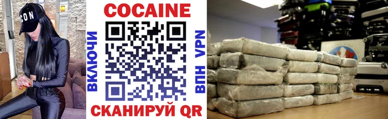 Кокаин FishScale  сколько стоит  Южно-Сухокумск 