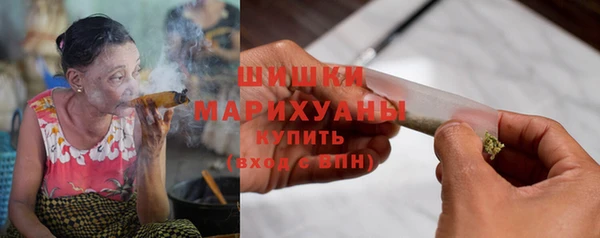 сатива Каменногорск