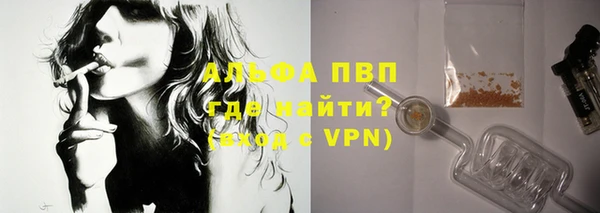 сатива Каменногорск