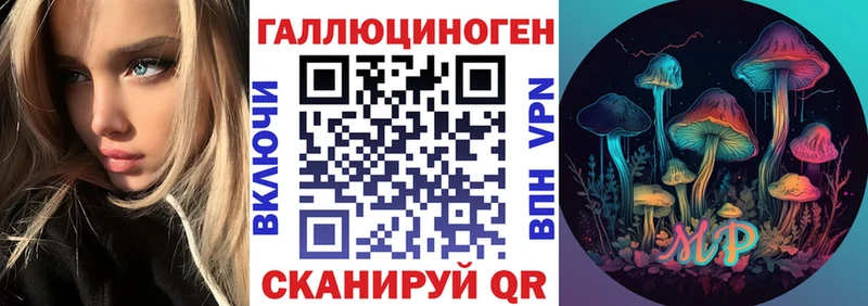 купить наркотик  Южно-Сухокумск  Псилоцибиновые грибы GOLDEN TEACHER 